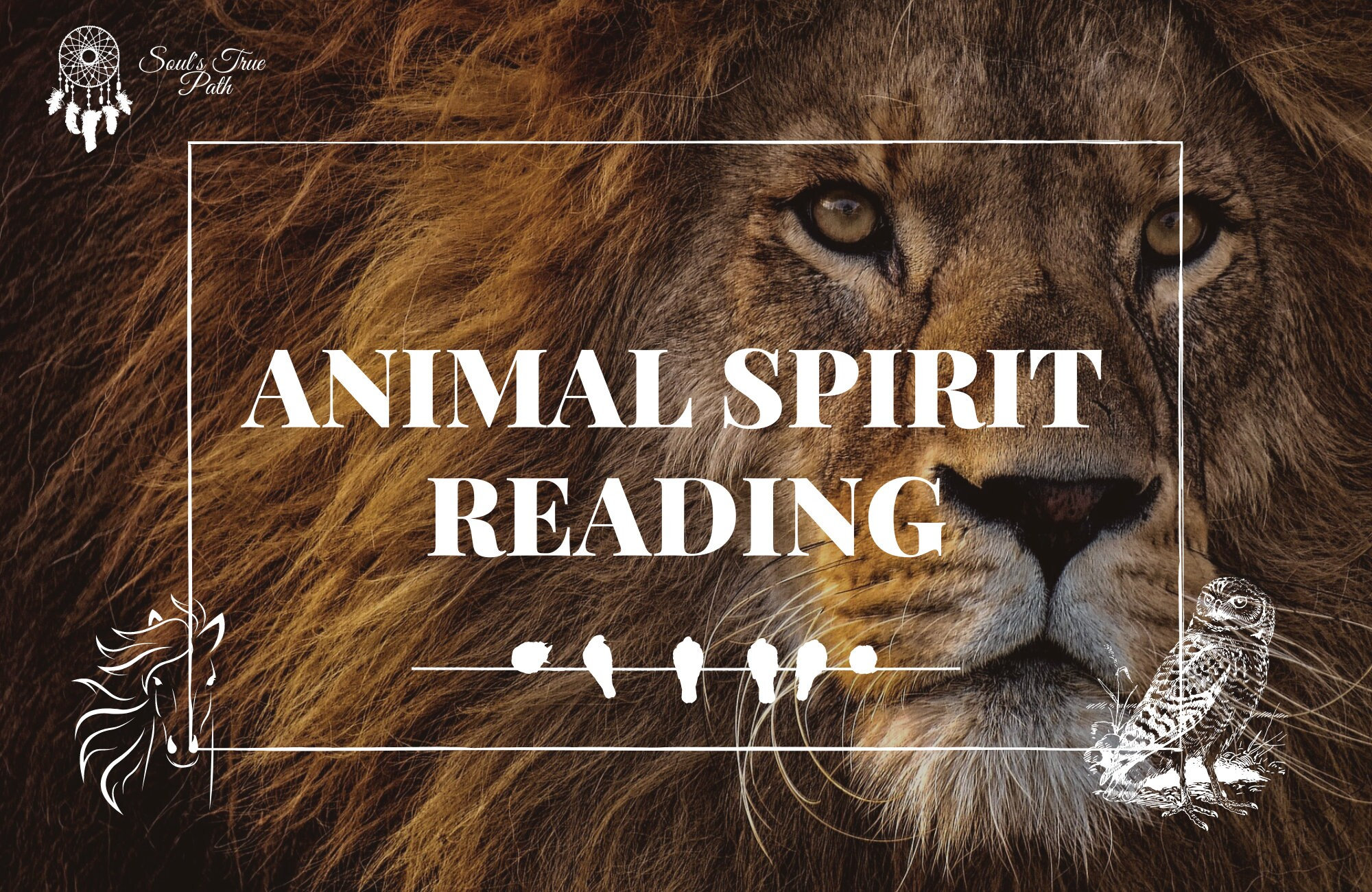 Spirit Animal -Spirit Animal Reading, Spirit Companion - Wisdom Reading Guide Totem Spiritual Animal