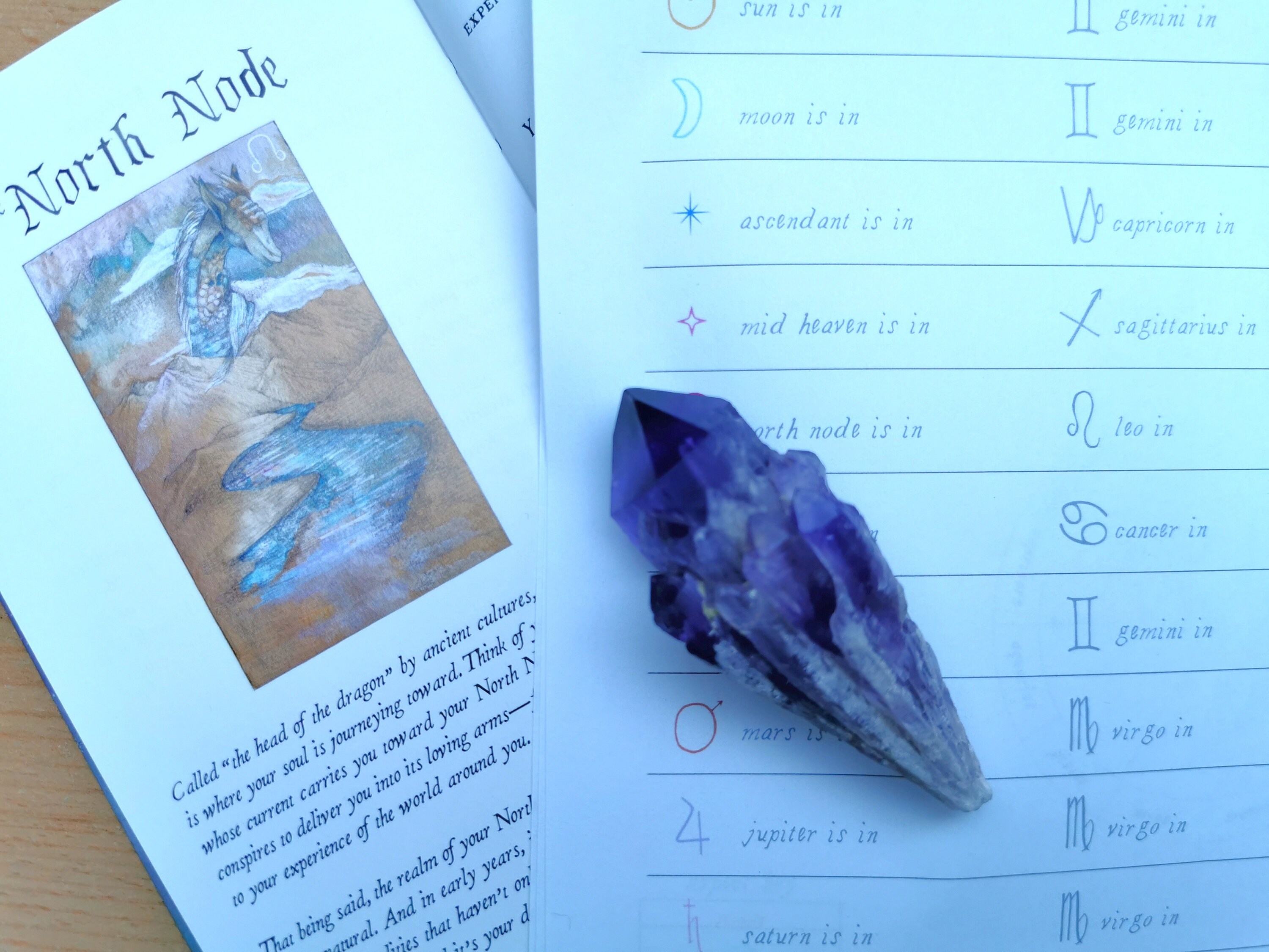 Birth chart reading natal chart reading astrology reading etsy