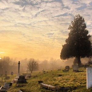 May include: A cemetery with a large tree in the foreground, surrounded by tombstones. The sun is setting in the background, casting a warm glow over the scene.