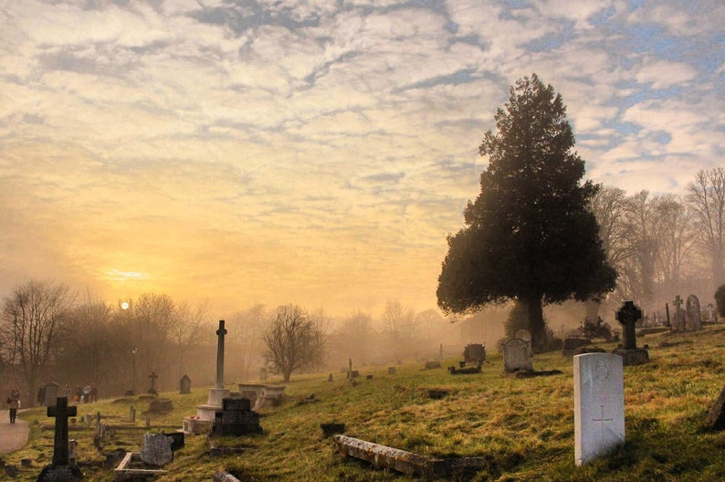 May include: A cemetery with a large tree in the foreground, surrounded by tombstones. The sun is setting in the background, casting a warm glow over the scene.