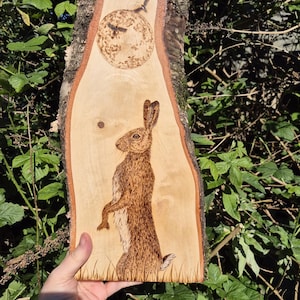 Large Moonlit Hare/Pyrography Wall Hanging/Altar Piece