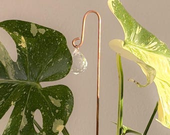 May include: A potted Monstera plant with large, variegated leaves in shades of green and cream. The plant is in a clear plastic pot, and a copper-colored plant stake with a crystal ornament is placed in the soil. The background is a plain, off-white wall.