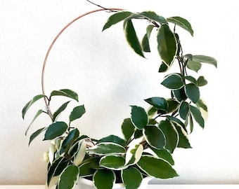 Round Endless Copper Trellis for Medium/Large Plants