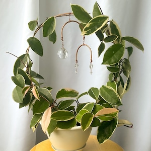 Mobile Suncatcher Endless Trellis, Round Endless Trellis, Trellis for Indoor Plant, Copper Hoya Trellis, Hoop Trellis, Suncatcher Trellis,