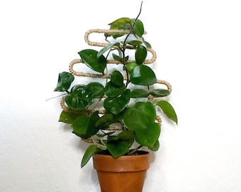 Jute Curvy Copper Plant Trellis, Trellis for Indoor Plants, Hoya Trellis, Plant Stake, Plant Support, Plant Gift