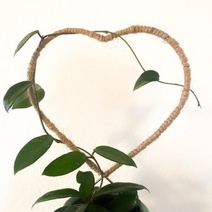 Jute Heart Copper Trellis, Trellis for Indoor Plant, Hoya Trellis, Indoor Plant Support, Trellis for Indoor Plants, Plant Support