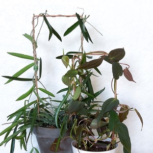 Rectangle Copper Trellis, Trellis for Indoor Plants, Houseplant Trellis ...