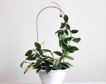 Arch Copper Trellis, Trellis for Indoor Plants, Hoya Trellis, Indoor Plant Support, Plant Gift