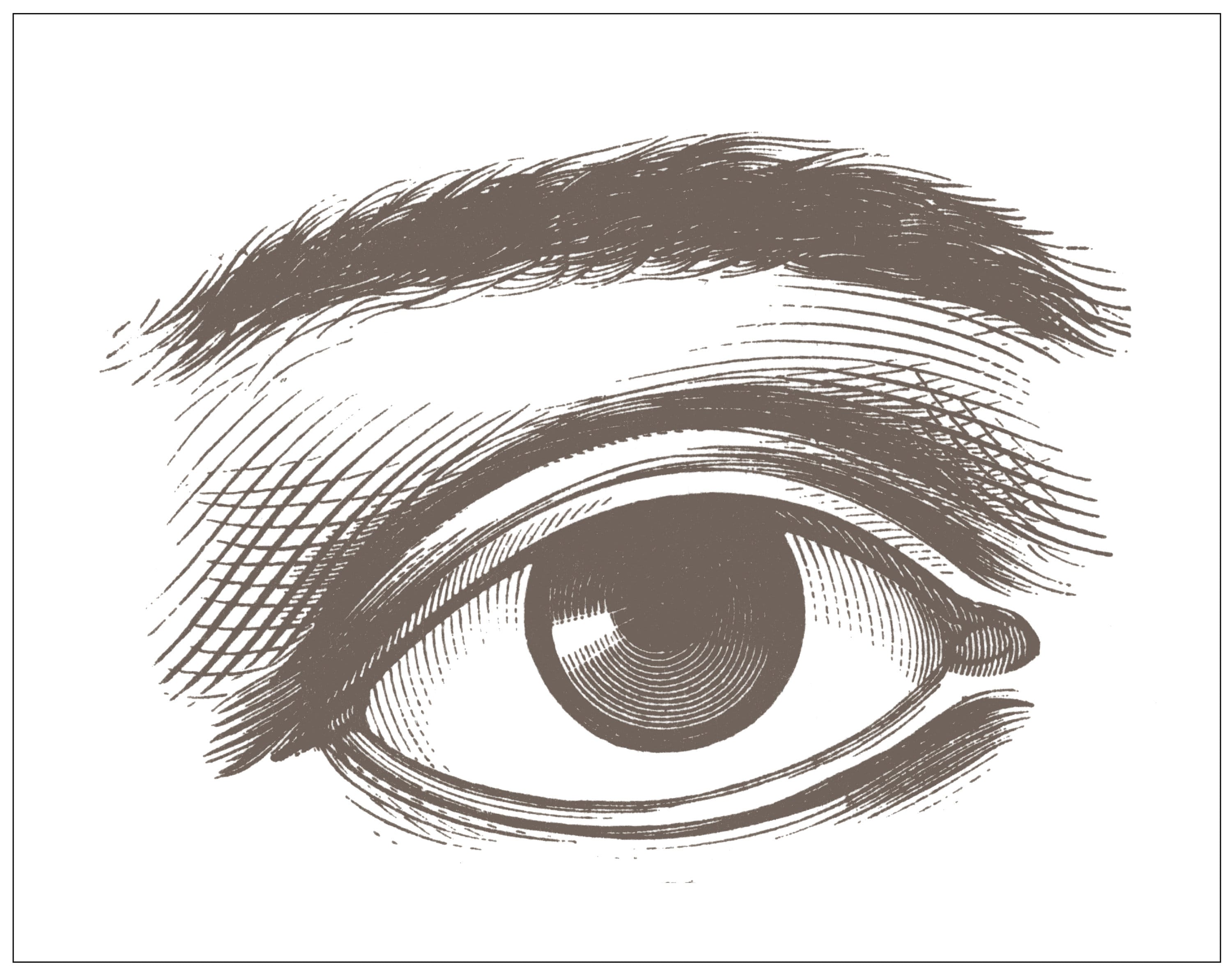 Eye Engraved Pattern Eye Engraving Print - Etsy