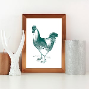 Barnyard Rooster Engraving print