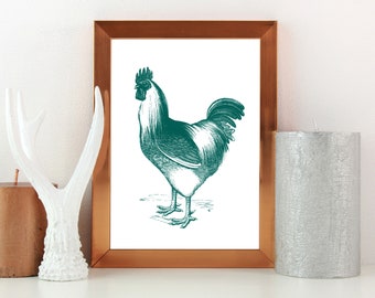 May include: A framed print of a teal rooster illustration. The rooster is facing the right side of the image and has a long tail.