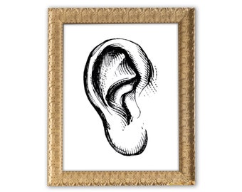 Ear Engraving print