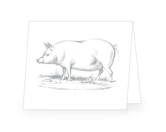 25 Pig Notecards