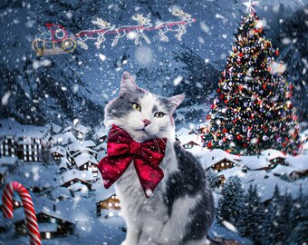 Magical Christmas Pet Portrait: Custom Holiday Photo Montage