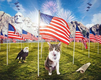 Patriotic Pet Photo Edit: 4th of July, USA