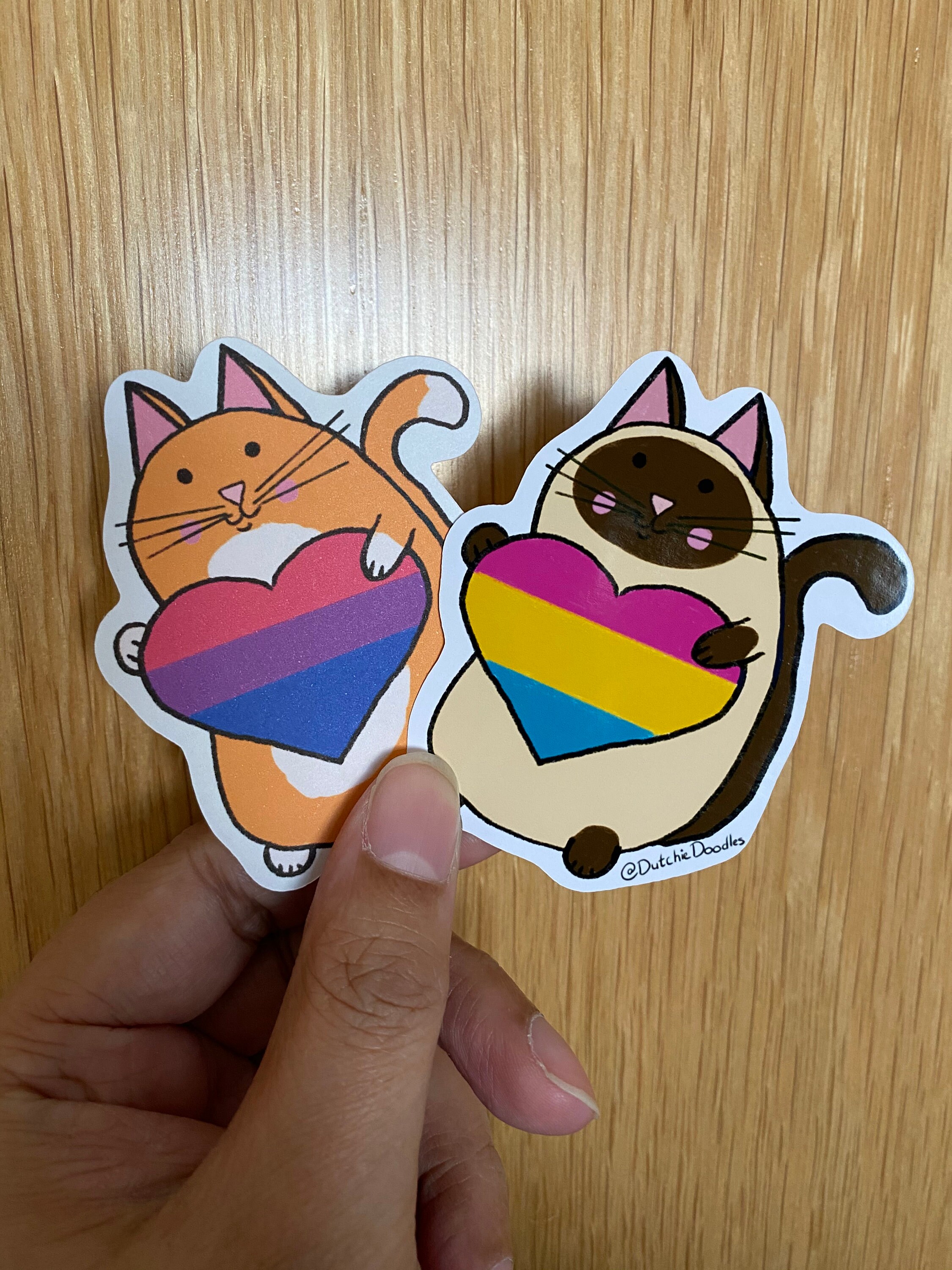 LGBTQIA Cat Sticker Paper or Glossy Photo Stickers - Etsy UK