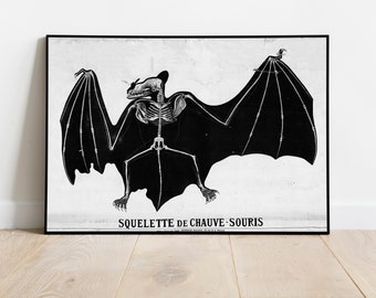 Émile Deyrolle Bat Illustration, Dark Academia Print, Bat Skeleton Study, Dark Chiroptera Art Print, Animal Anatomy Study, DIGITAL DOWNLOAD