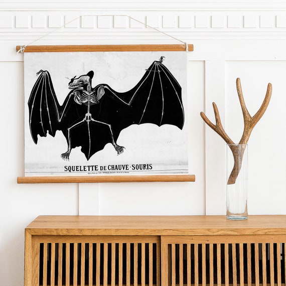 Émile Deyrolle Bat Illustration, Dark Academia Print, Bat Skeleton Study,  Dark Chiroptera Art Print, Animal Anatomy Study, TÉLÉCHARGEMENT NUMÉRIQUE -   France