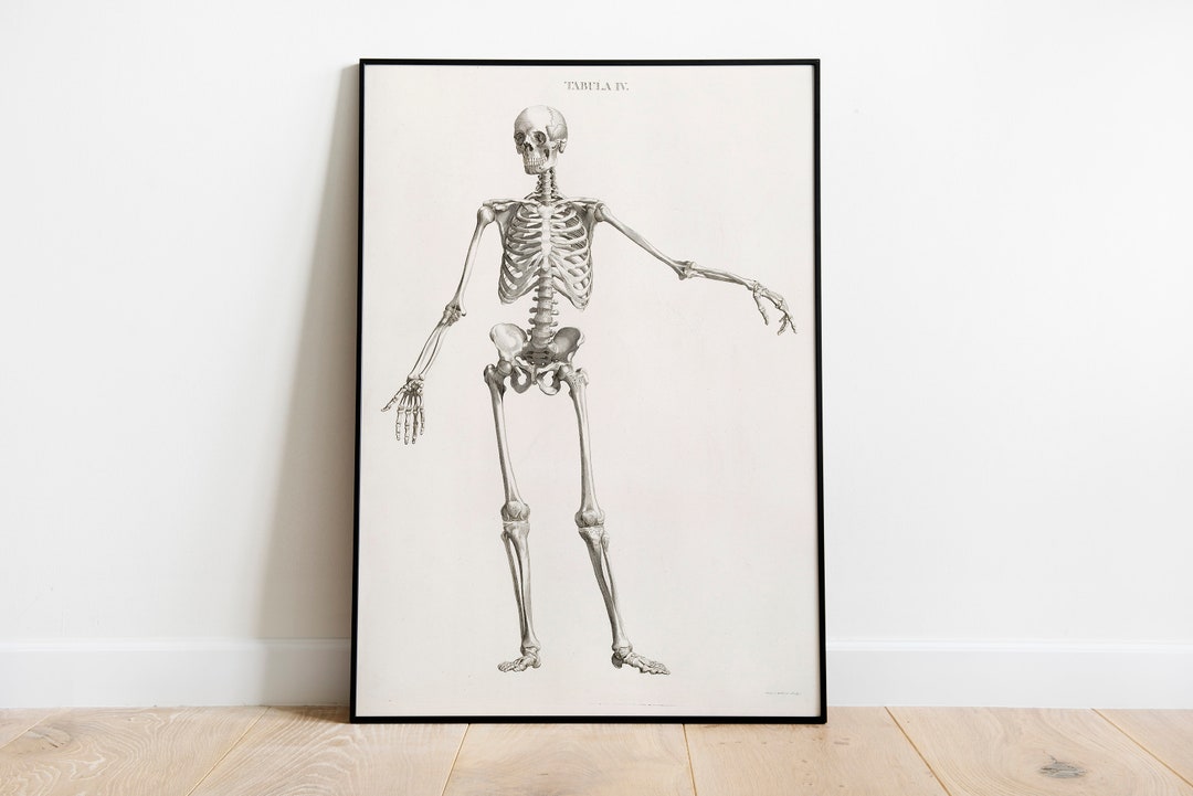 Vintage Human Skeleton Anatomy Art Print, Dark Academia Print, Human ...