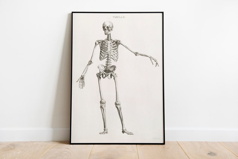 Vintage Human Skeleton Anatomy Art Print Dark Academia Print - Etsy