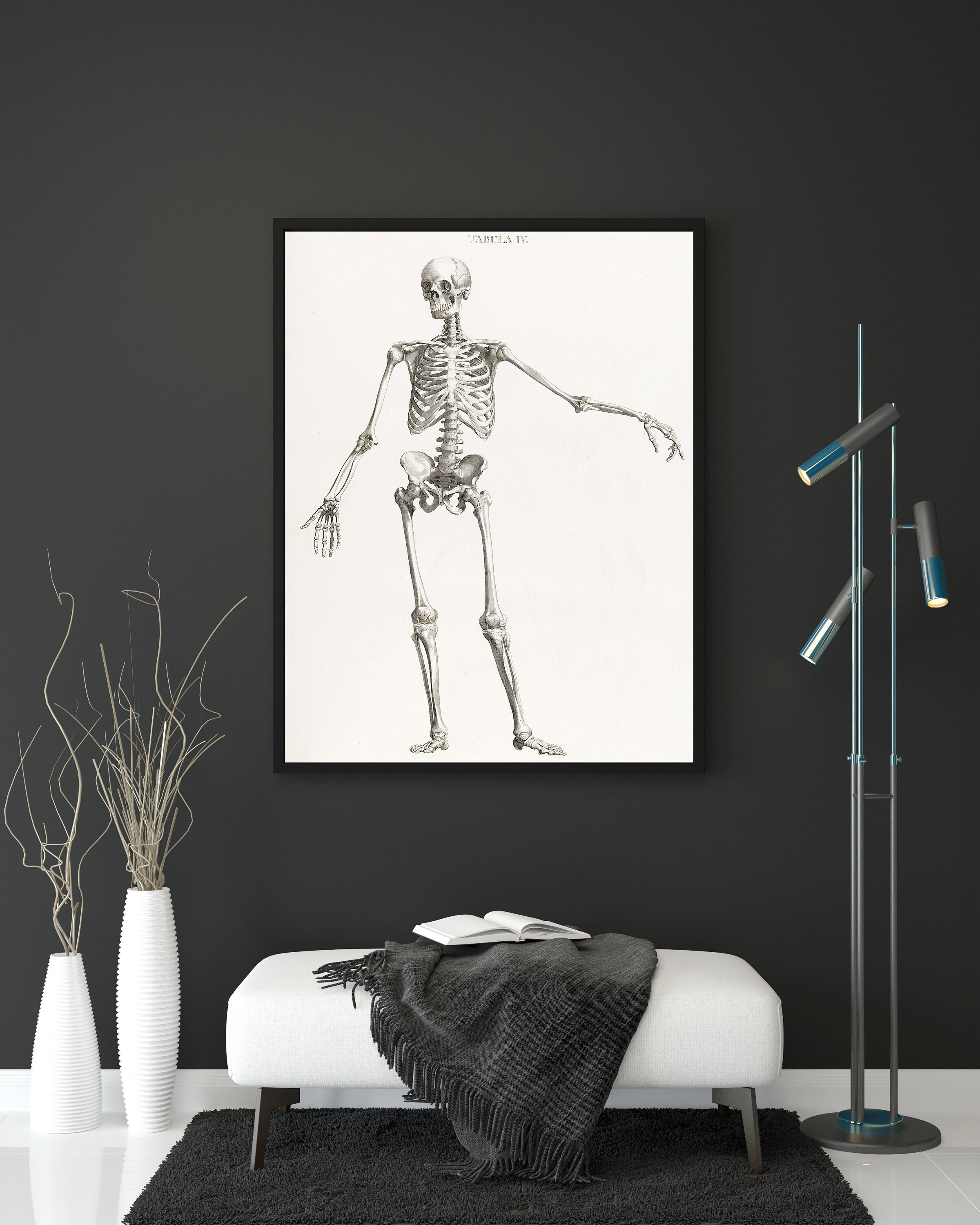 Vintage Human Skeleton Anatomy Art Print Dark academia print | Etsy