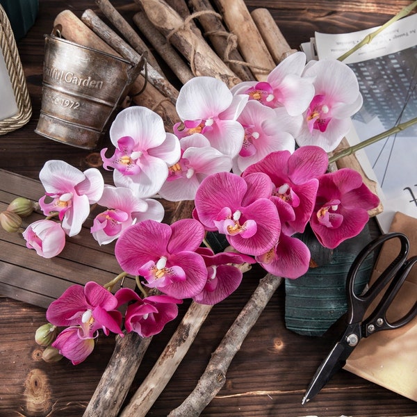 Blue Purple Orchid Etsy