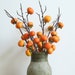 see more listings in the Faux Plant with Fruit section