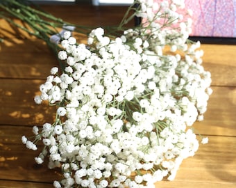 Artflower 4 Bundles 19.7'' Baby Breath Gypsophila Artificial Flowers Real Touch Silk Fake Baby Breath Bouquet Silica Blooms for Wedding Bridal Party DIY Home Floral Arrangement Decor Blue Artflower 4 Bundles 19.7'' Baby Breath Gypsophila Artificial Flowers Real Touch Silk Fake Baby Breath Bouquet Silica Blooms for Wedding Bridal Party DIY Home Floral Arrangement Decor Blue