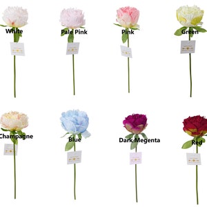 Pure Silk Peony 13''Tall, Single Stem Flower for Bouquet Wreath Garlands Table Centerpieces for Home Decor, Wedding Decoration image 10