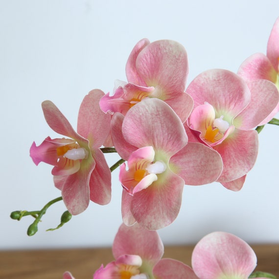 Feuilles d'orchidées artificielles, 3 pièces/lot, racines vertes, toucher  Latex, fausses plantes, Arrangement floral pour la maison - AliExpress