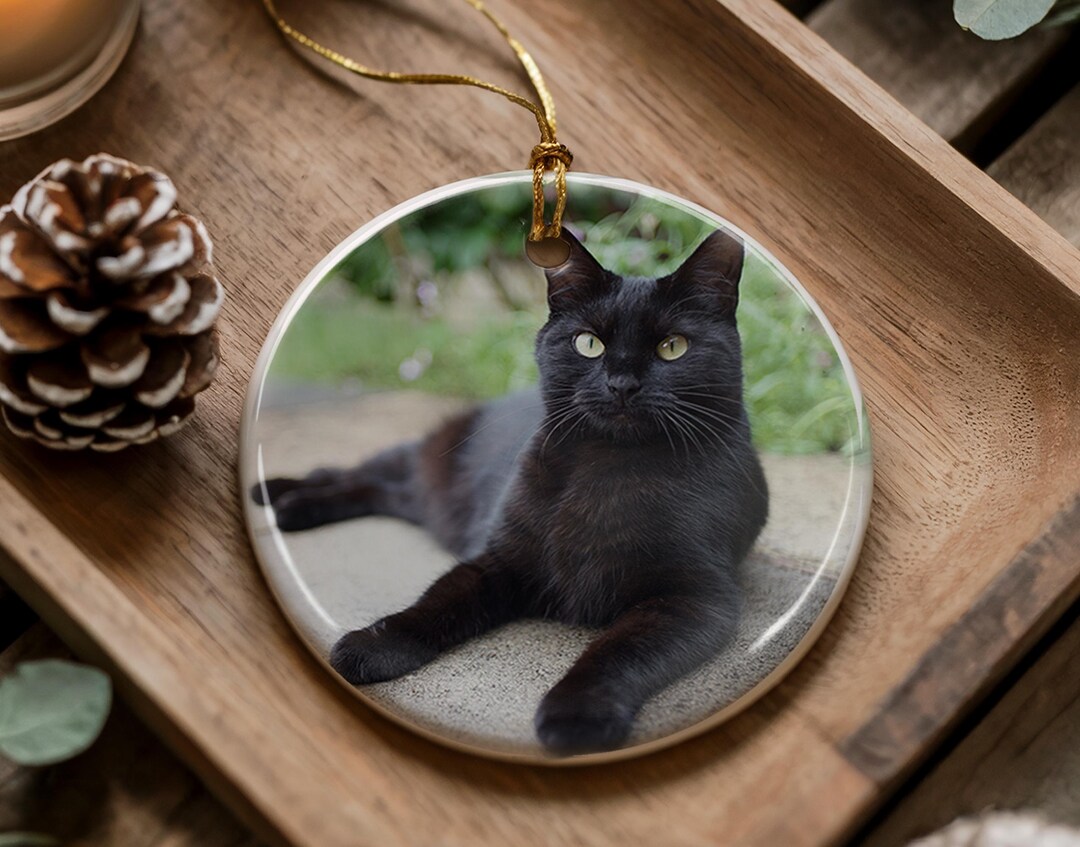 Personalized Pet Memorial Ornament: Custom Photo Keepsake, Cat or Dog ...