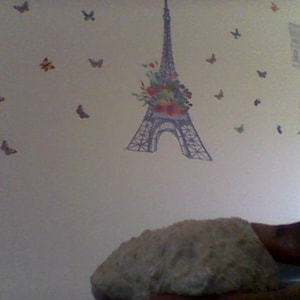 May include: A white wall with a variety of butterfly stickers, a sticker of the Eiffel Tower, and a sticker of the Arc de Triomphe. The wall is decorated with a floral design around the Eiffel Tower sticker.