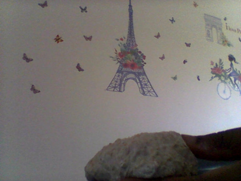 May include: A white wall with a variety of butterfly stickers, a sticker of the Eiffel Tower, and a sticker of the Arc de Triomphe. The wall is decorated with a floral design around the Eiffel Tower sticker.