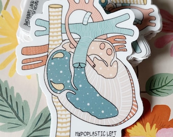 Adesivo HLHS *con testo* / Sindrome del cuore sinistro ipoplasico / Adesivo CHD