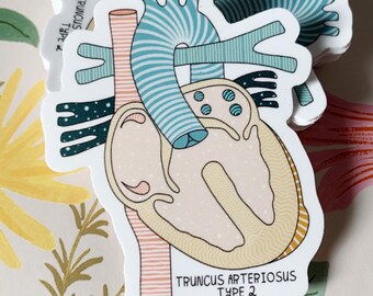 Adesivo Truncus Arteriosus Tipo 2 *con testo* / CHD