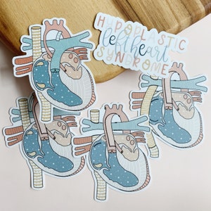 HLHS | Stickers serie enkele ventrikelchirurgie | Hypoplastisch linkerhartsyndroom | CHD-sticker