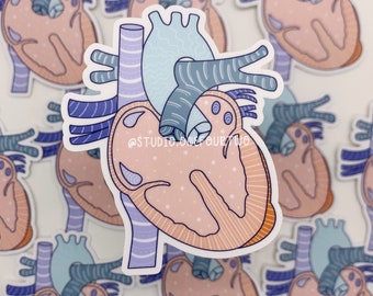 CAVSD Sticker | Complete Atrioventricular Septal Defect | AVSD | CHD Sticker