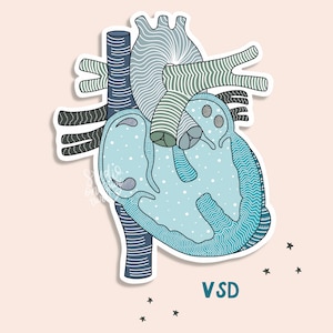 VSD Sticker | Ventricular Septal Defect | CHD Sticker