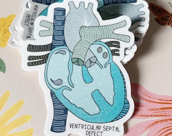 Adesivo VSD *con testo* / Difetto del setto ventricolare / Adesivo CHD