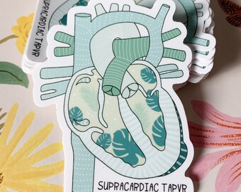 Adesivi TAPVR sopracardiaci *con testo* / Adesivo CHD