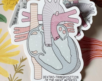 Adesivo D-TGA *con testo* / Destro-trasposizione delle grandi arterie / TGA / Adesivo CHD