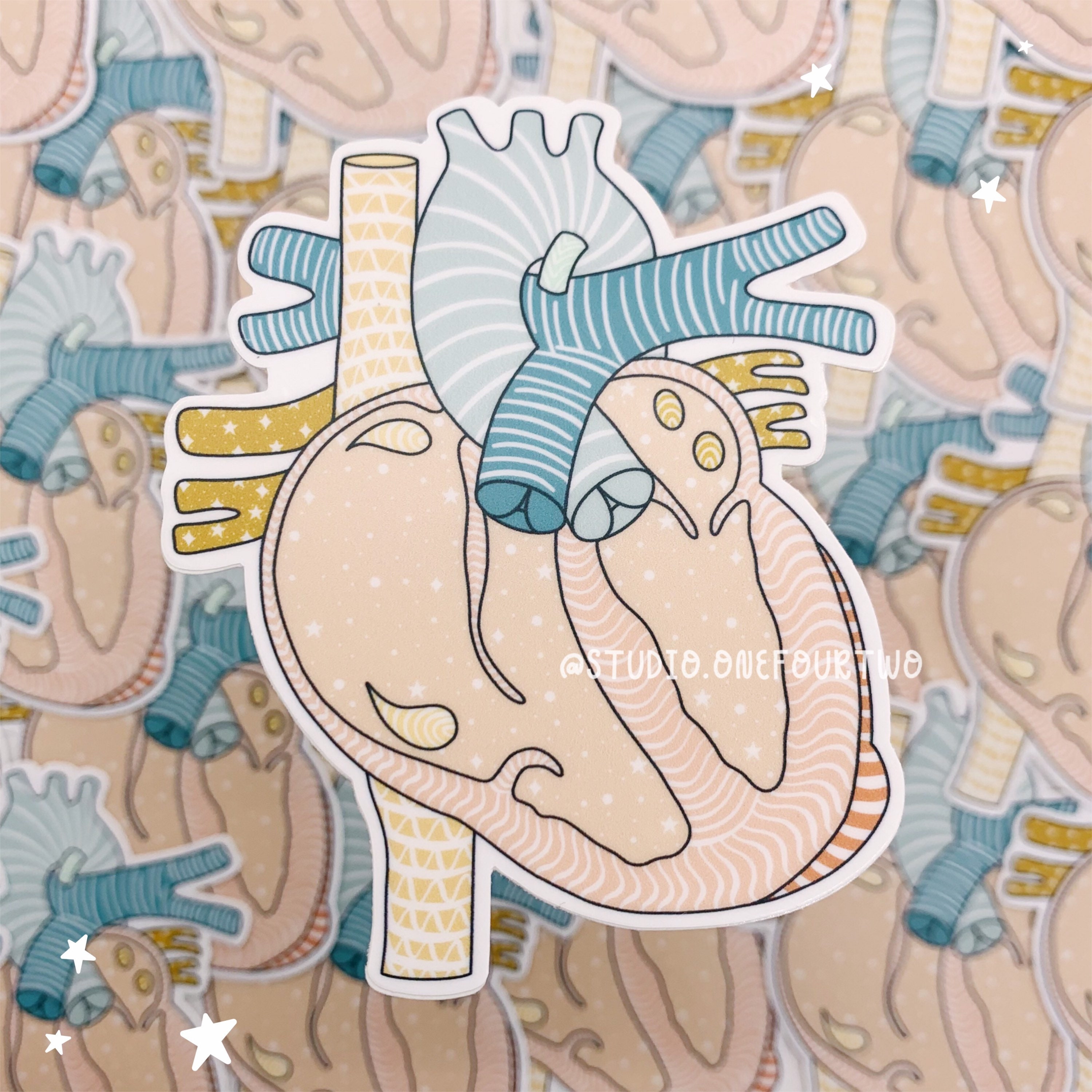 Ebstein’s Anomaly Sticker | CHD Sticker - Etsy