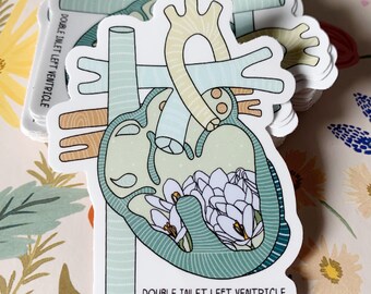 Adesivi DILV *con testo* / Ventricolo sinistro a doppio ingresso / Adesivo CHD