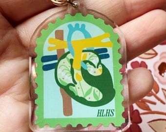 HLHS Acrylic Keychain | Anatomical Heart Acrylic Keychain