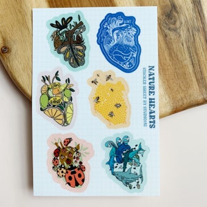 Nature Hearts Sticker Sheet | 4x6 | Anatomical Hearts | Mother Nature