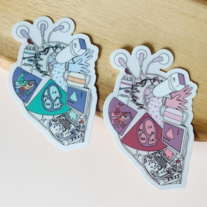 Cardiac Sonographer Heart | Frosted Clear Sticker | Anatomical Heart