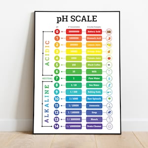 PH-schaalposter – Vijf maten inbegrepen (met H+ concentratie ten opzichte van zuiver water), Wetenschapsposter voor kinderen, Educatieve poster voor in de klas