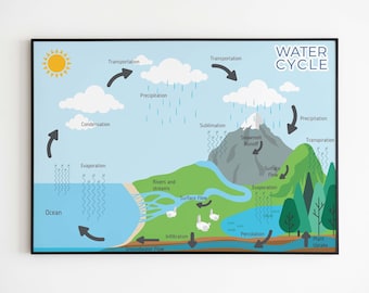 The Water Cycle - Kids Room Science Wall Art – Science Classroom Poster – Digital Download – Five Sizes Included