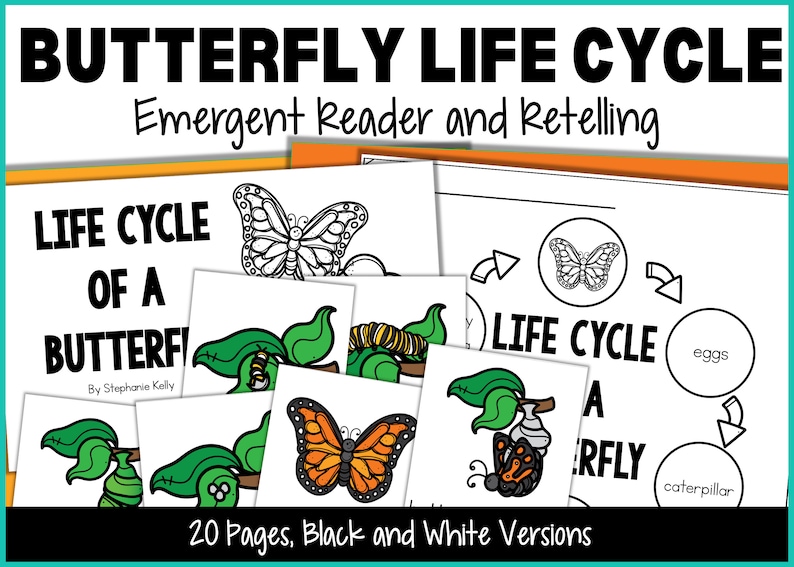 Butterfly Life Cycle Emergent Reader Book and Activities Etsy