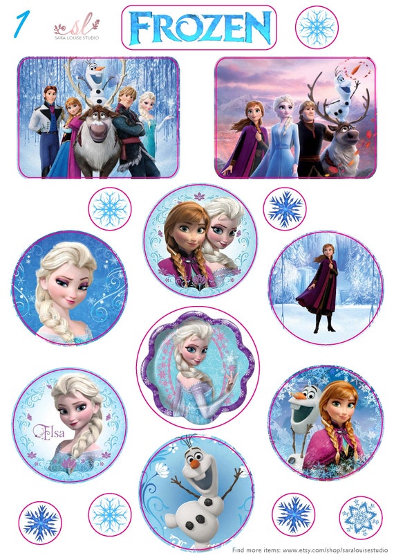 Disney Frozen Stickers Frozen Decals Waterproof Labels Ideal for Birthdays  Ideal Present for Christmas Stocking Filler Disney 